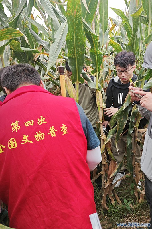 普查队员正在使用探铲进行探伤。中国文物报供图